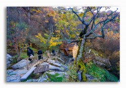 hmiodrag 
Monahinje 
2026-03-05 20:03:26