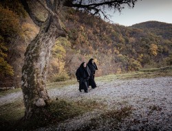 hmiodrag 
Monahine odlaze 
2026-03-05 20:05:30