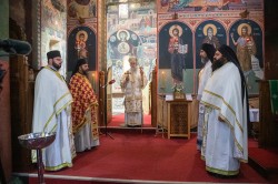 hmiodrag 
Прохор Пчински 
2026-03-05 20:12:15