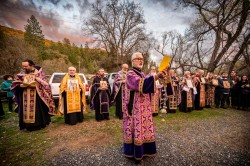 Lazo 
Sunday of Orthodoxy, Triumph of the Icons, California, USA 
2026-03-06 21:05:19