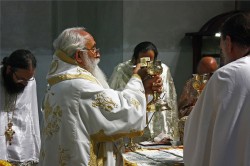felix 
 Liturgy at the Resurrection of Jesus Christ Church in Valjevo