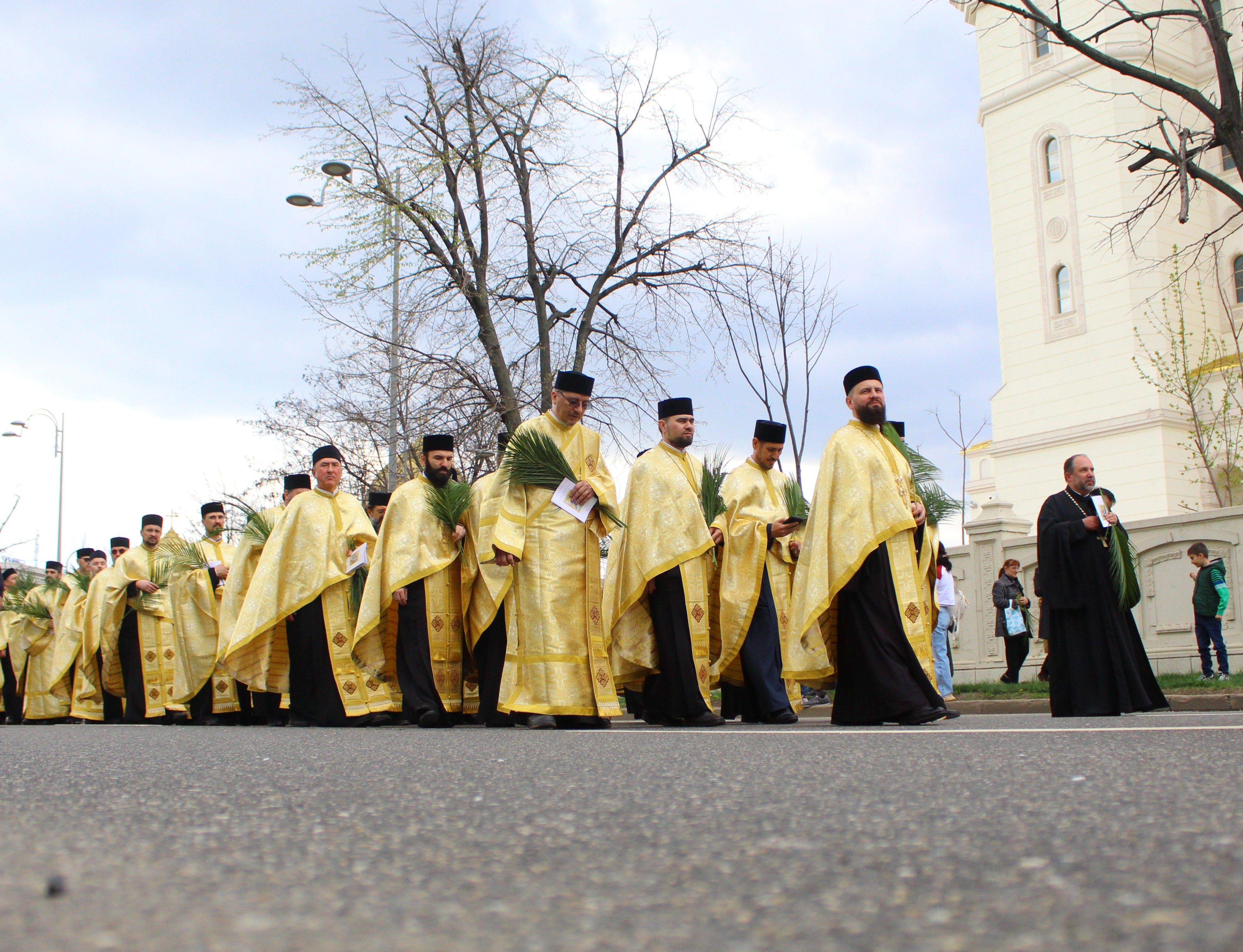 Palm pilgrimage in Romania