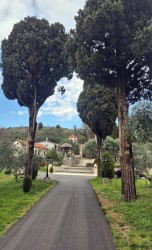 jarek 
 Dajbabe monastery, close to Podgorica
