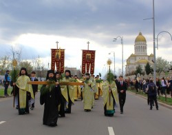 anamariaavram 
 Palm pilgrimage in Romania