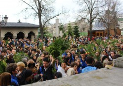 anamariaavram 
 Palm pilgrimage in Romania