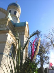 Sheep1389
Niedziela Palmowa, warszawska Wola, 2026 Sheep1389
Niedziela Palmowa, warszawska Wola, 2026