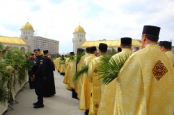 anamariaavram 
 Palm pilgrimage in Romania