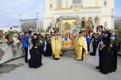 anamariaavram 
 Palm Day