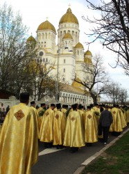 anamariaavram 
 Palm Day