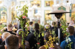 mati.40702 
 Palmowa (I)