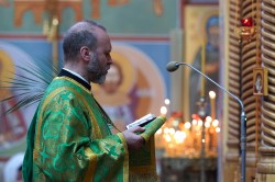jarek1 
 The Palm Sunday in Zwierki Convent  