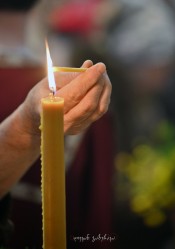 levangabechava 
 
2026-04-08 20:49:21