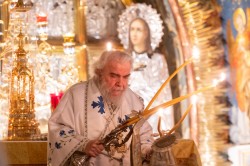 alik 
 His Eminence Aristarchos, Archbishop of Constantina