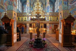 jarek 
Great Week in Zwierki Convent  
2026-04-10 20:37:29