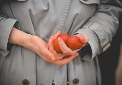 levangabechava 
 
2026-04-11 18:46:52