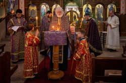 Lazo 
 Sacrament of Holy Unction, California, USA