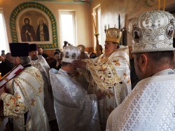 szolucha.w 
 ks. prot. Jan Kulik nagrodzony prawem noszenia mitry