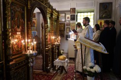 jarek1 
 The Divinie Liturgy in St. Michael the Archangel Chapel in Warsaw