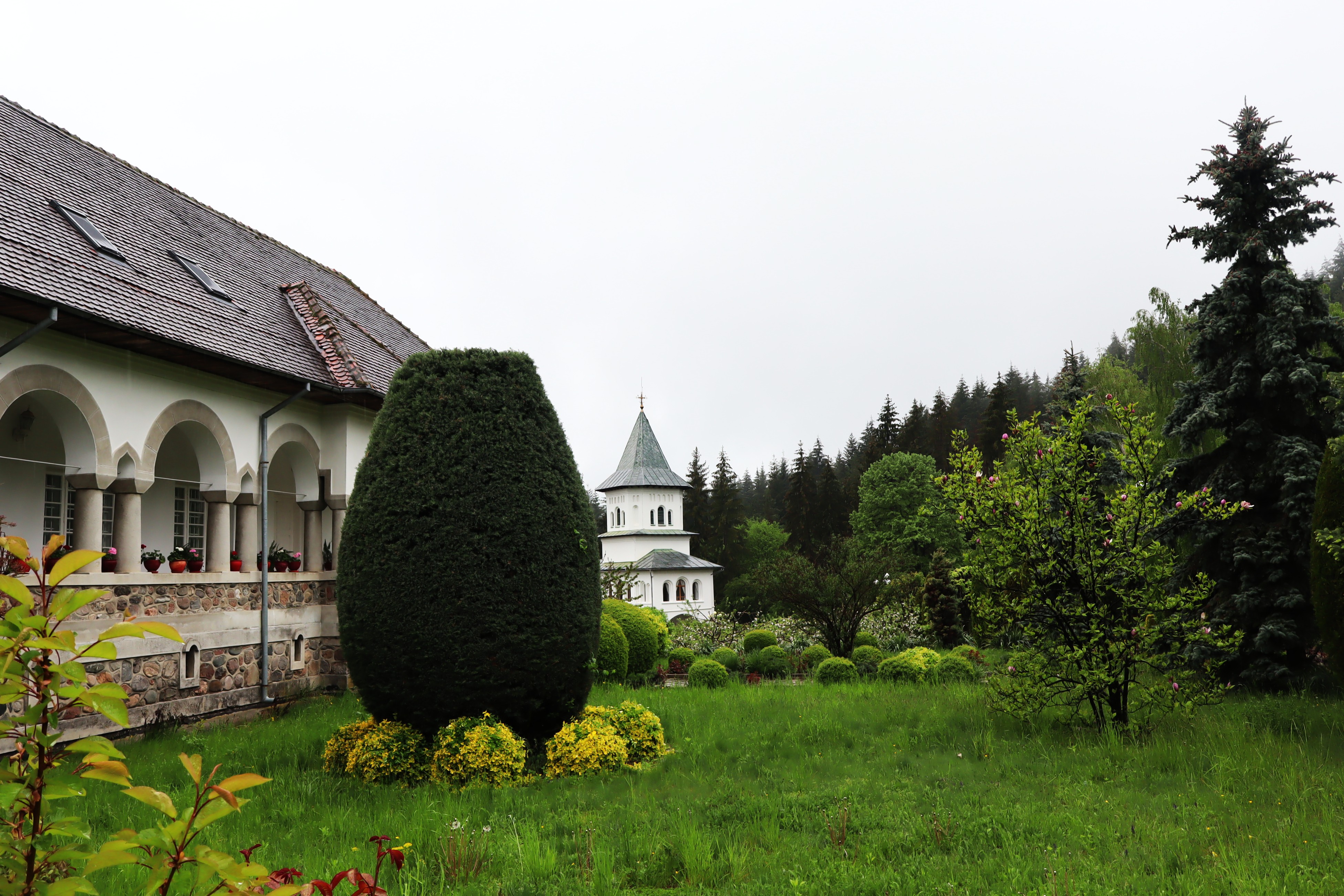 Holy Văleni Monastery Argeș 