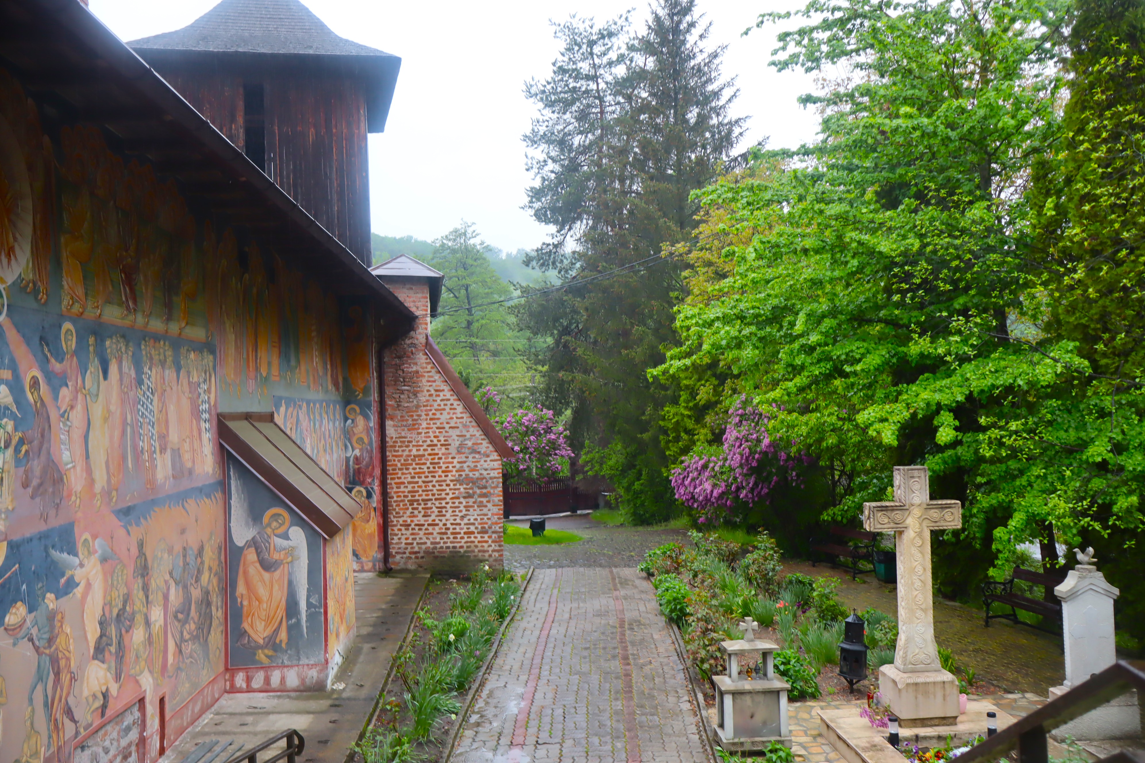 Holy Cotmeana Monastery