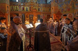 jarek 
Reading of Twelve Gospels in Zwierki Convent 
2026-05-01 19:31:10