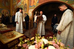 jarek1 
 The Passion Saturday in Zwierki Convent