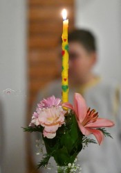 levangabechava 
 
0 
2026-05-06 15:36:52