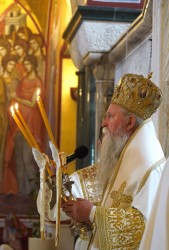 jarek1
