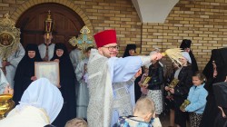 jarek11