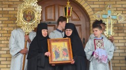 jarek11
