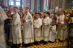 jarek
