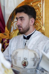 jarek11