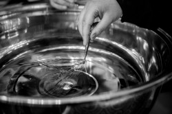 lukasz 
 Alleluja