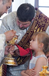 jarek11 
 The consecration of St. Spiridon Orthodox church in Mińsk Mazowiecki