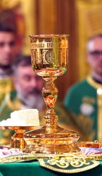 jarek 
The Holy Spirit feast in the Holy Spirit Orthodox church in Białystok 
0 
2026-06-11 11:38:01