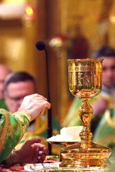 jarek 
The Holy Spirit feast in the Holy Spirit Orthodox church in Białystok 
2026-06-13 09:44:34
