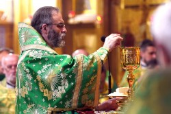 jarek 
The Holy Spirit feast in the Holy Spirit Orthodox church in Białystok 
2026-06-13 09:44:45