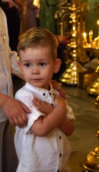 jarek