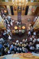 jarek11 
 St. Spirydon shoe coming to Zwierki Convent