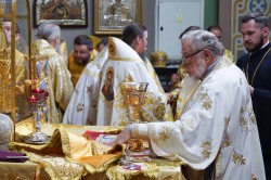 jarek 
The Divine Liturgy of St. Marie Magdalene feast in Warsaw, 2026 
2026-08-20 19:42:37