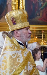 jarek