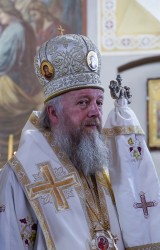 jarek