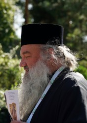 jarek