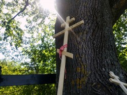 Sheep1389 
 Własny krzyż w trakcie warszawskiej pielgrzymki na Grabarkę 2026