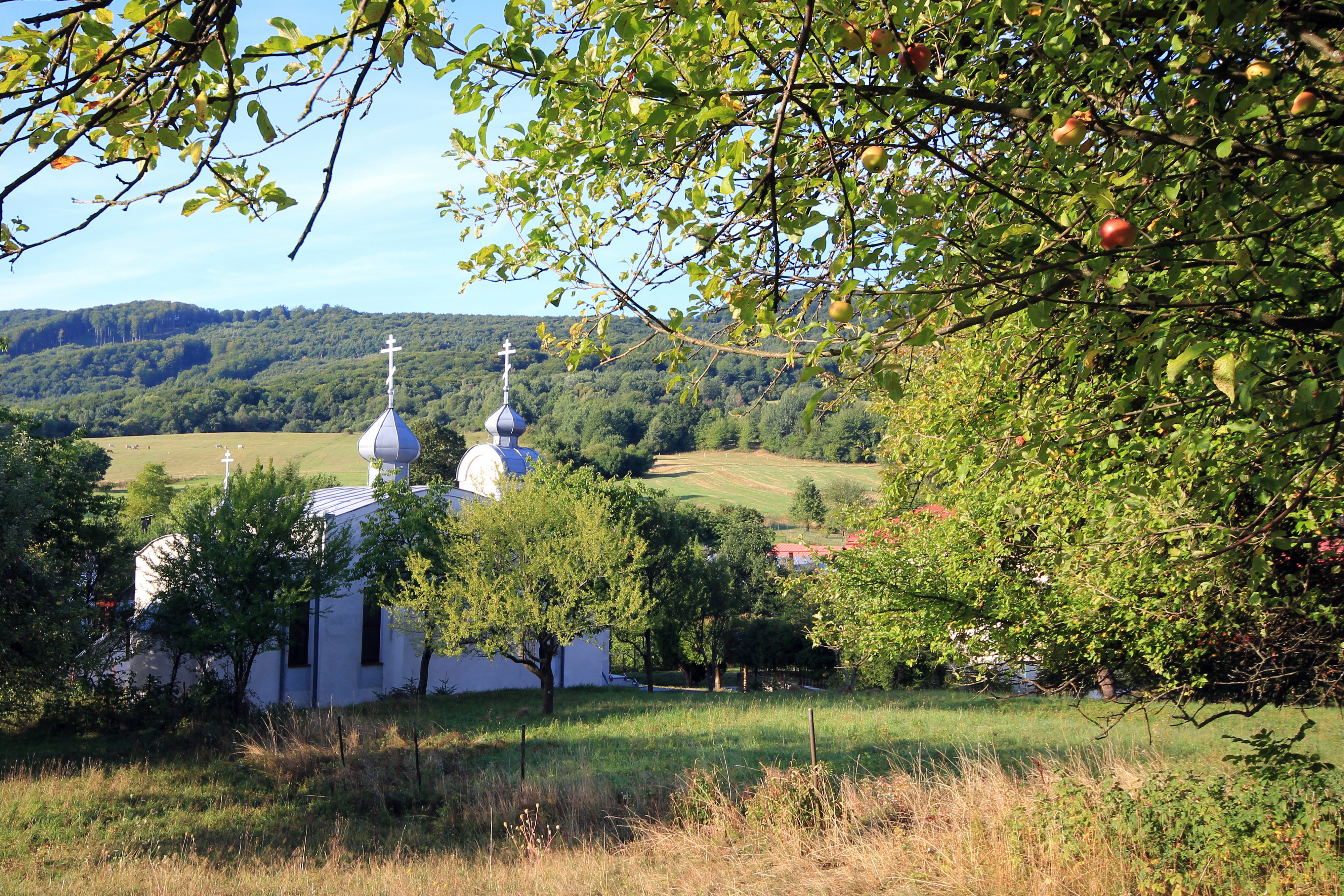 The Nativity of the Mother of God Orthodox church in Šarišské Čierne village