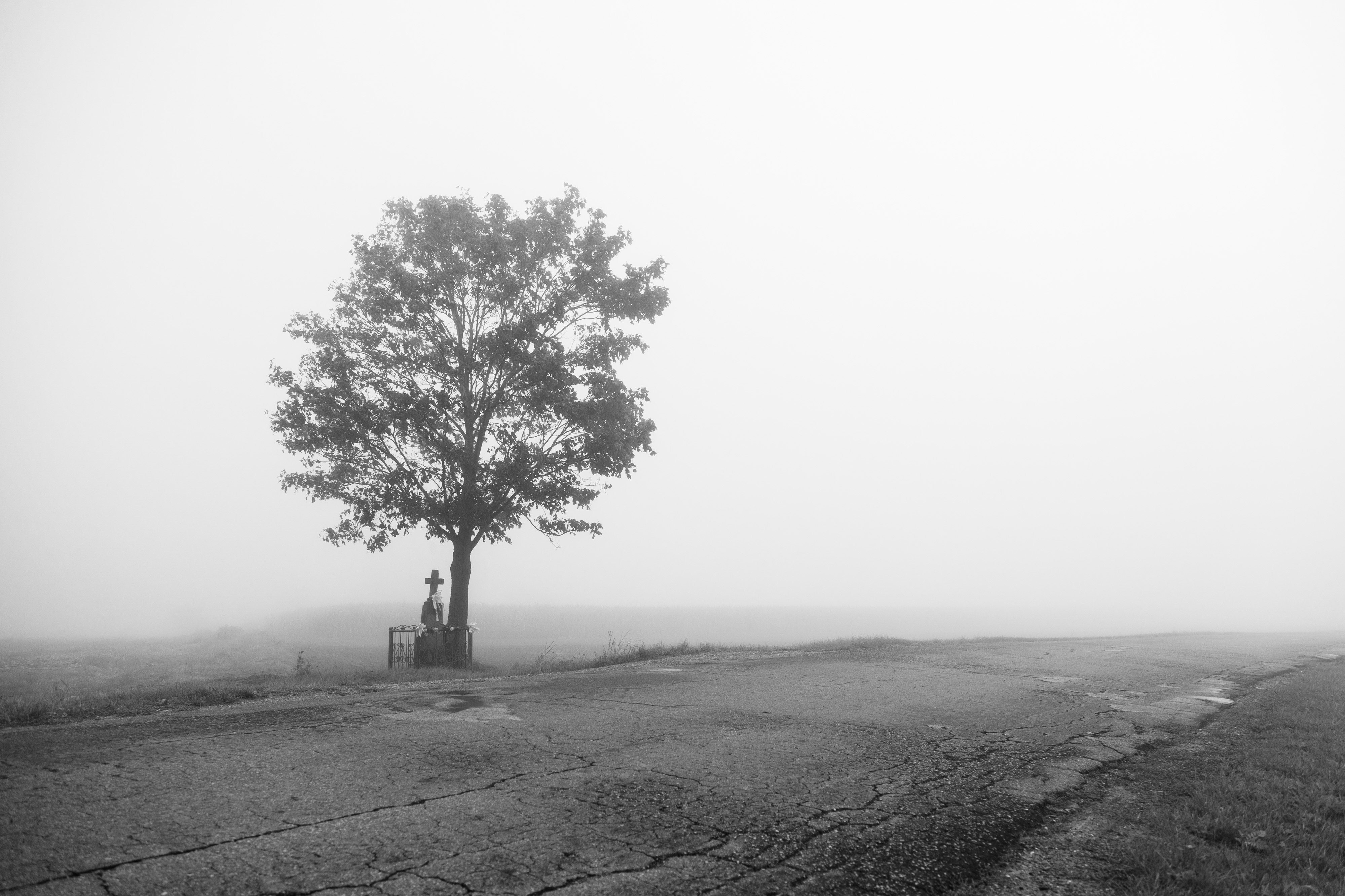 Przy drodze / Near the road (IX)