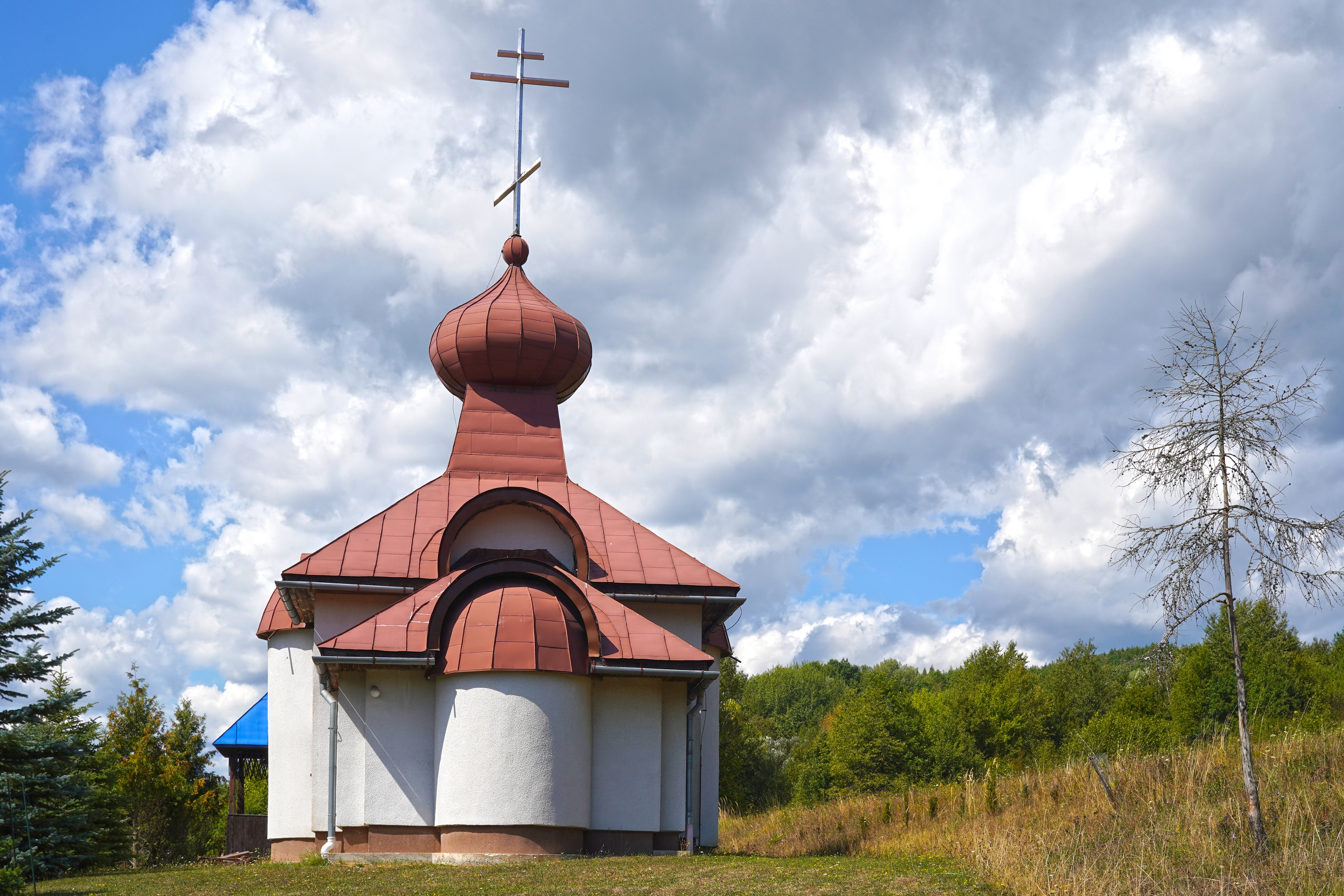 The Protection of the Mother of God Orthodox church in Ladomirov village