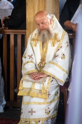 palavos 
Abp Grzegorz 
0 
2026-09-02 21:54:15