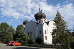 jarek