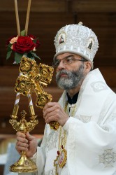 jarek11